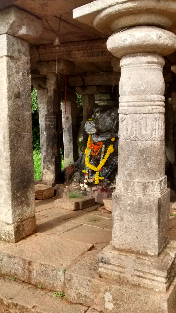 Nandi Hills