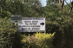 Kadmane Estate. Our host for the day.